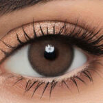 ⁦عدسات كلير فيجن⁩ - الصورة ⁦6⁩